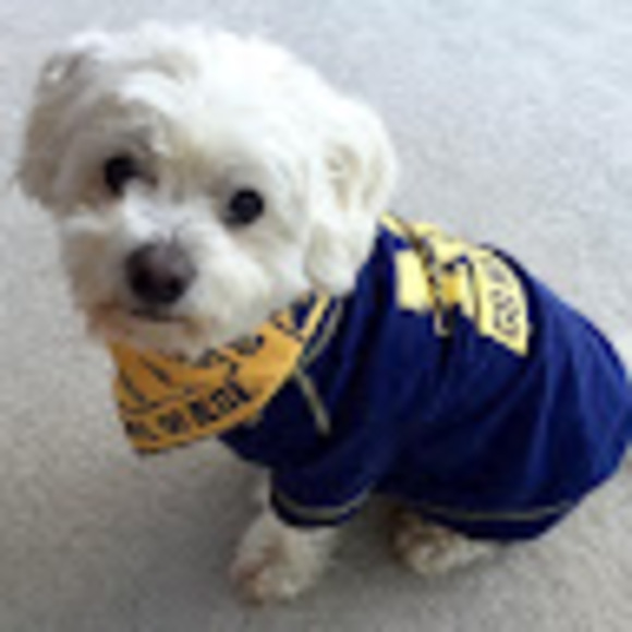 Meet your Posher, Valerie - Picture 1 of 1